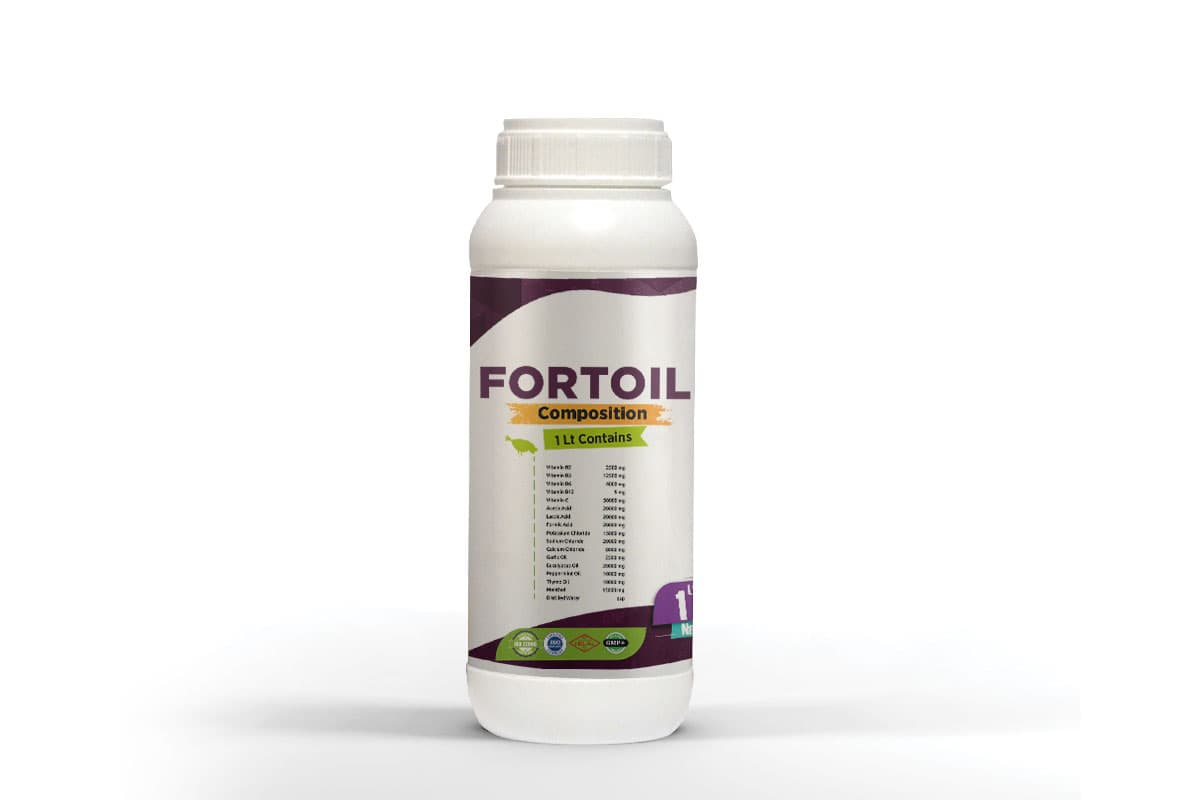 Fort Oil